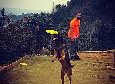 İstanbul Köpek Eğitim Merkezi En İyi Köpek Eğitim Merkezi Murat GÜNGÖR